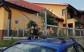 Casa Darius